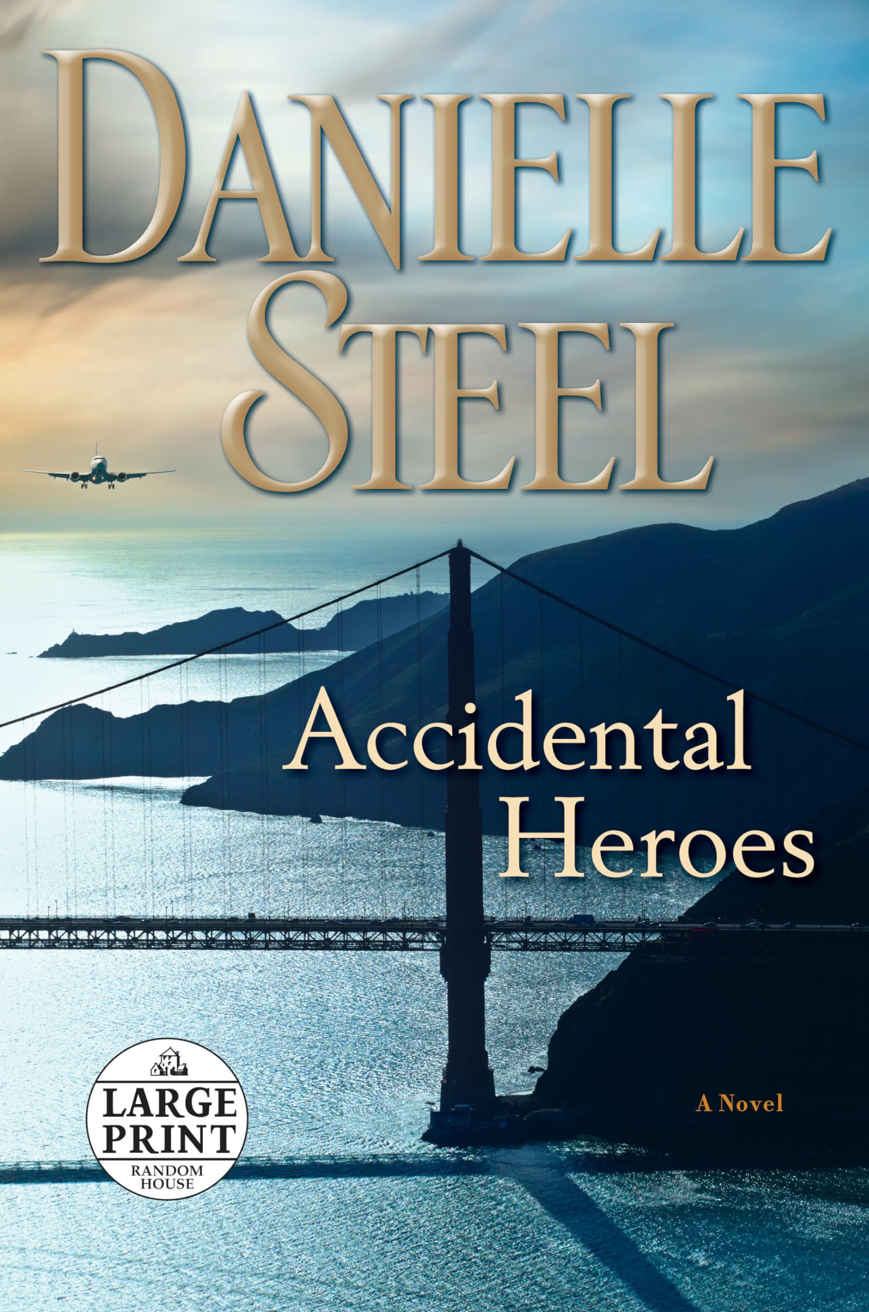 Accidental Heroes: A Novel