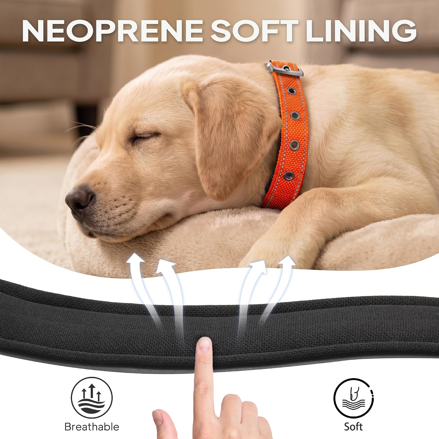 PetiFine Heavy Duty Dog Collar with Durable Metal Buckle,Neoprene Padded Comfort Dog Collar, Reflective Adjustable Belt Buckle Dog Collars for Small Medium Large Dogs(14.5''-19'', Orange)