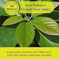 Vista 6 de Akshit Hojas secas de aguacate, hojas naturales, hojas de aguacate secas, té de hojas, té de hierbas, sin OMG, sin cafeína, paquete de 1