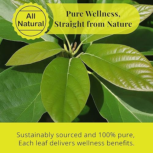 Miniatura 5 de Akshit -Hojas de aguacate secas, 2.6oz (75gr) Hojas De Aguacate Seca, Té de Hojas, Sin Aditivos, Sin OGM. Paquete de 1