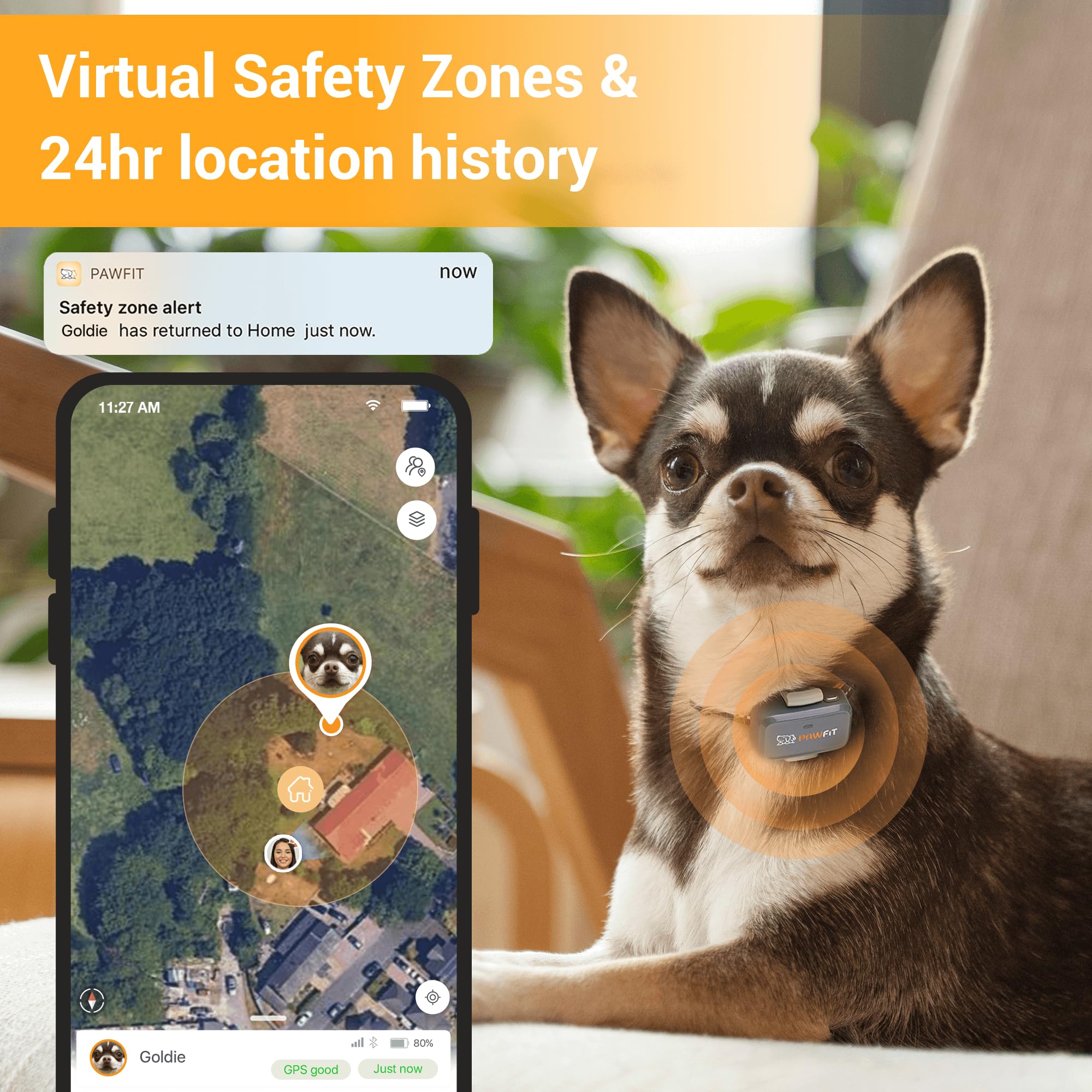 Pawfit Lite for Small Dogs 4g GPS Tracker | Real Time Tracking | Activity Monitoring |Location History | Unlimited Range | Lilac Grey - image 3