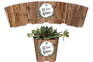 Succulent Pot Wraps for Unforgettable Occasions