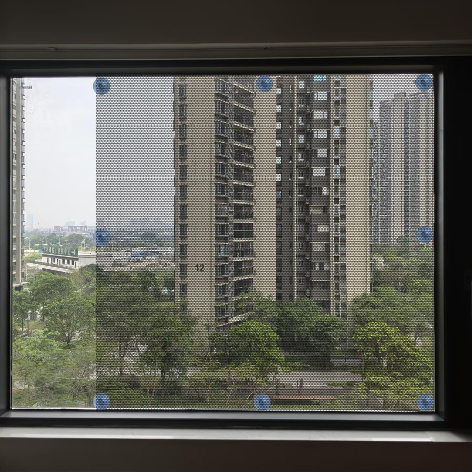 View 5