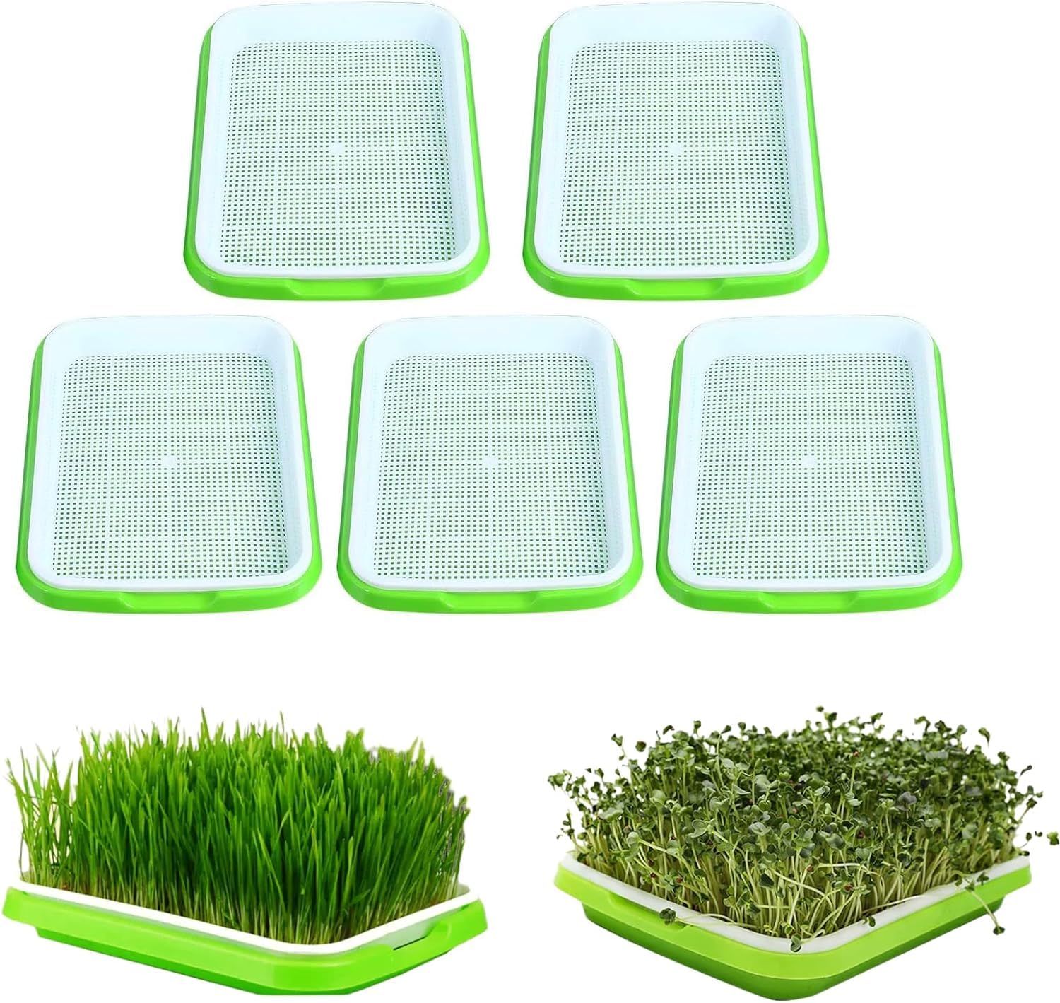 Toxen Seed Sprouter Tray Without Lid Microgreens Growing Trays Sprouts Growing Kit Propagation Trays Healthy Wheatgrass Grower Storage Sprouting Tray for Garden Home Office (Pack of 4)