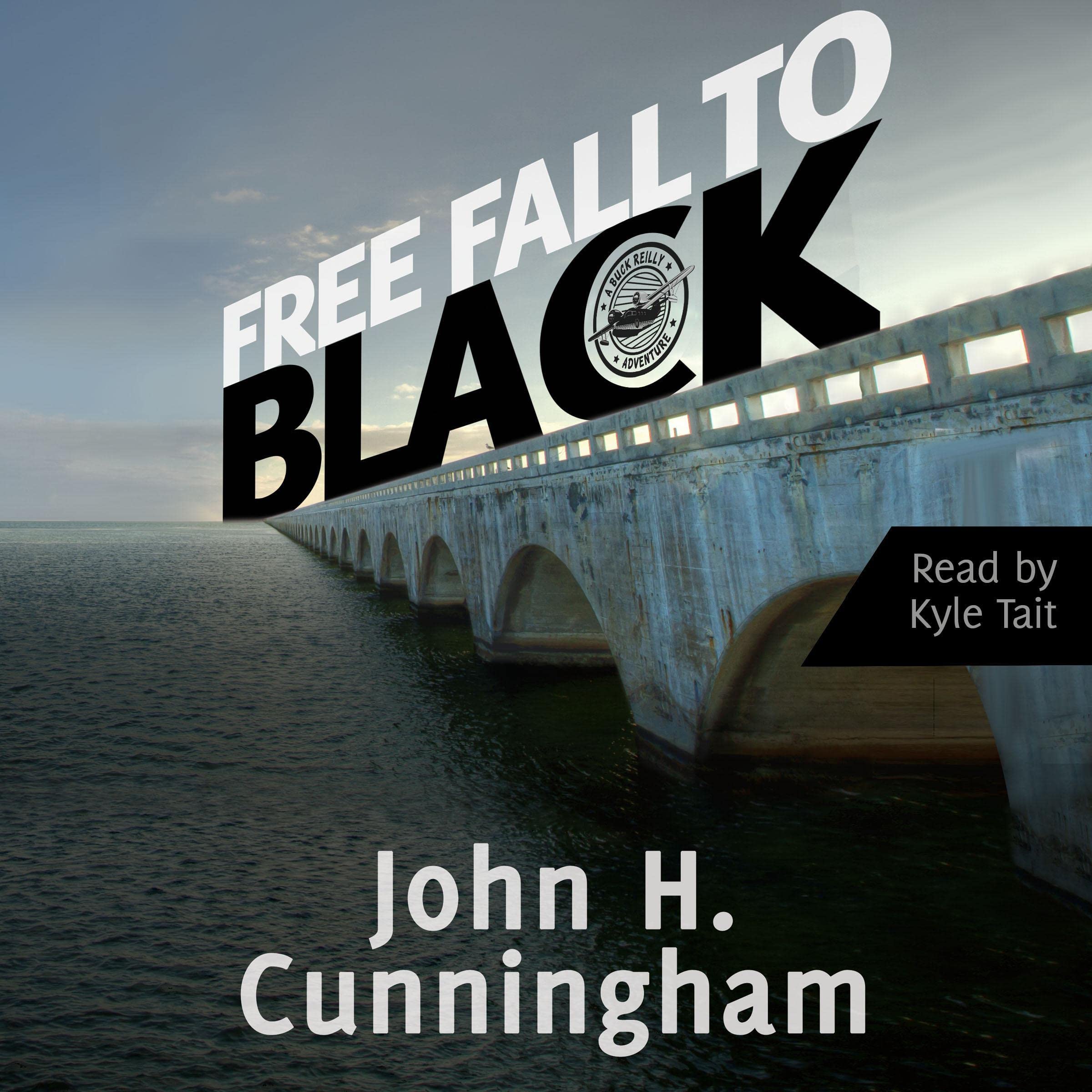 Free Fall to Black