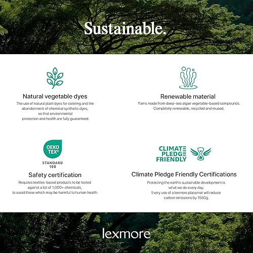 Miniatura 6 de LEXMORE Juego de 4 manteles individuales tejidos de viniloplástico para mesa de cocina, interiorexterior, lavables, manteles individuales lavables