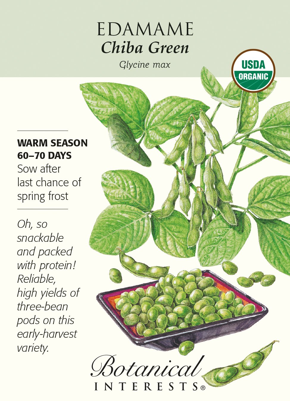 Organic Chiba Green Edamame Seeds - 12 Grams