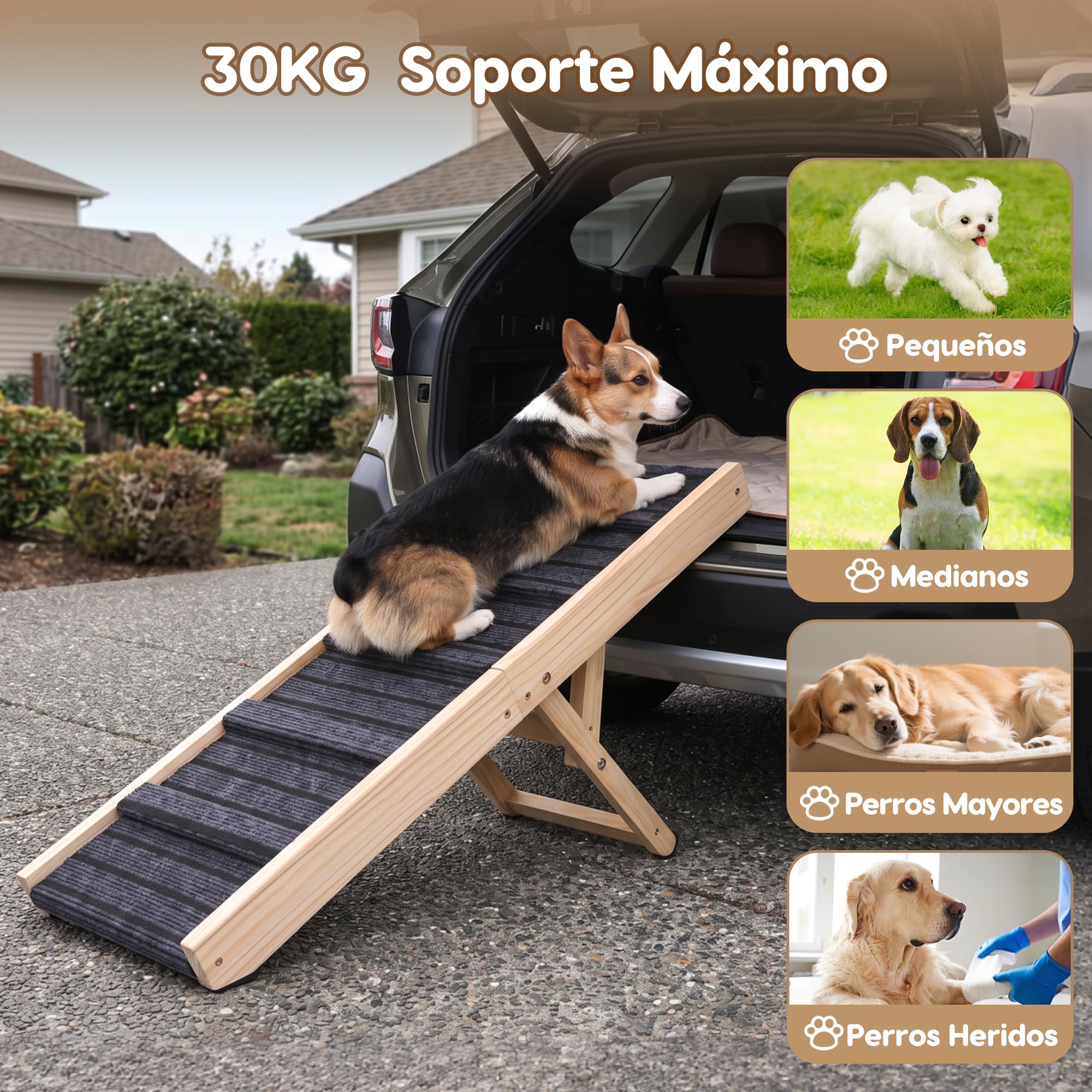 Rampa para Perros Plegable, 5 Alturas Ajustables, Madera Maciza
