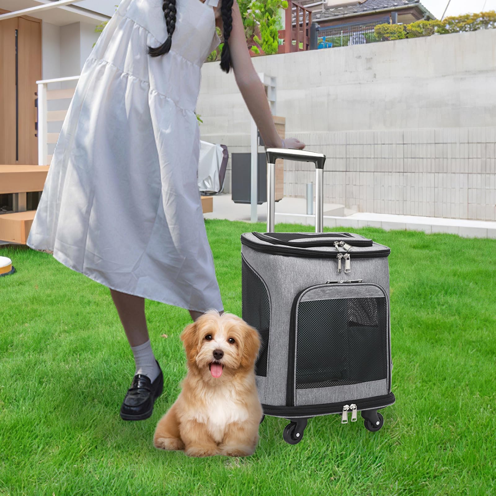 Zaino Trasportino Per Cani Piccoli - Regolabile, Morbido E Sicuro Per Gite E Viaggi