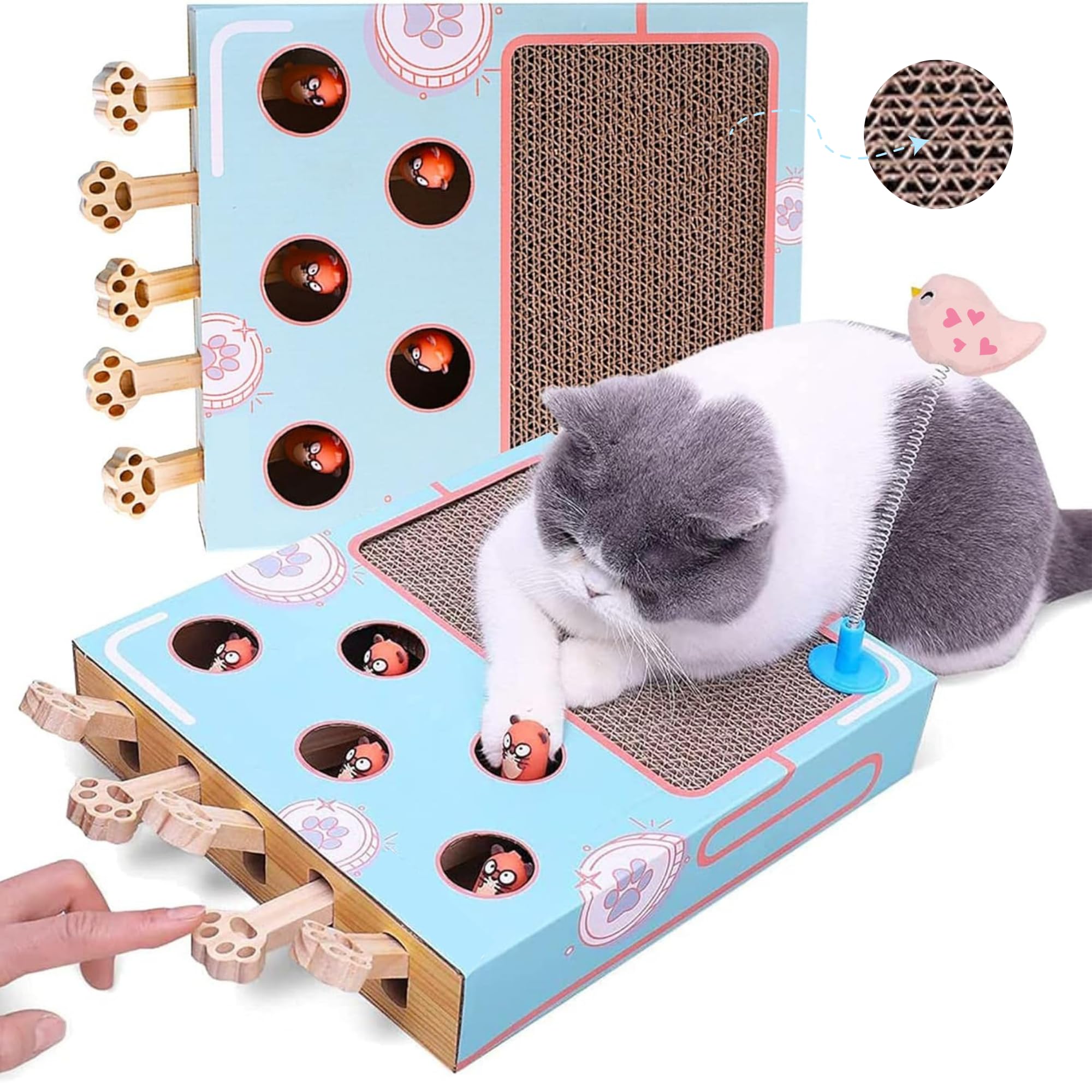 BRKT Whack a Mole Cat Scratcher Toy 3 in 1 Fun Box Toy for Indoor Cats Multifunctional Cat Toy, Innovative Pet Amusement, Safe Interactive Toy (Blue)