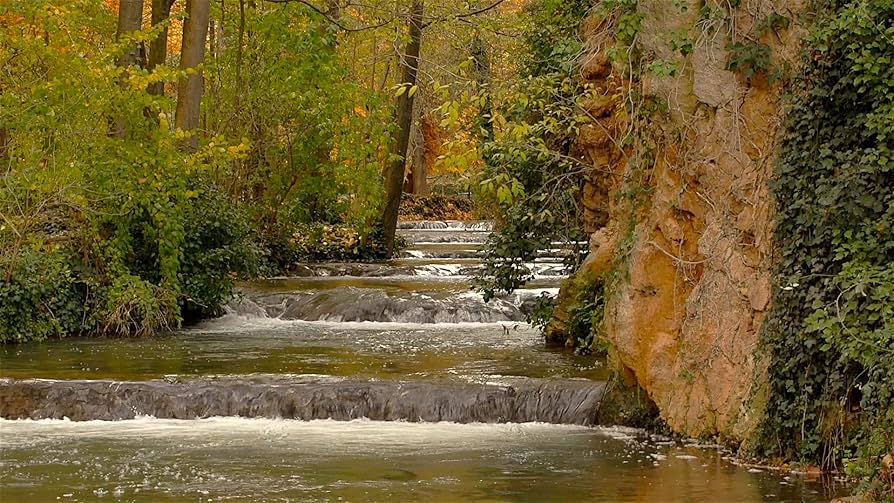 (未使用･未開封品)Relax & Chill With Nature [DVD] Amazon.com: Relaxing Waterfall DVD - Fall Cascades