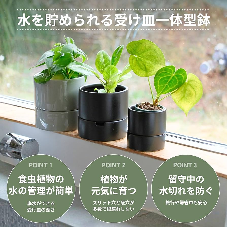 Amazon.co.jp: onajimi すーさん 食虫植物の鉢 植木鉢 プランター 鉢