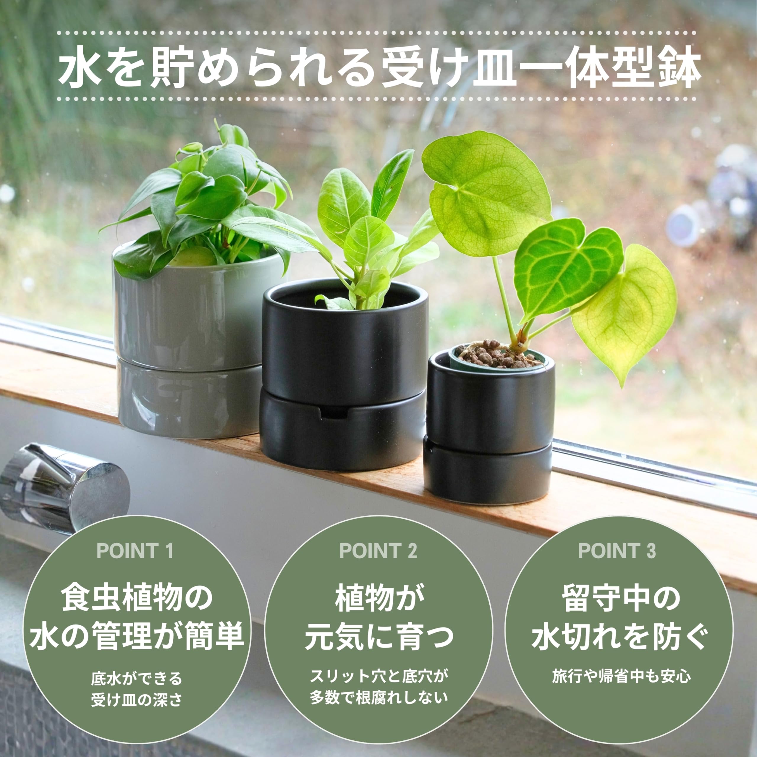 Amazon.co.jp: onajimi すーさん 食虫植物の鉢 植木鉢 プランター 鉢