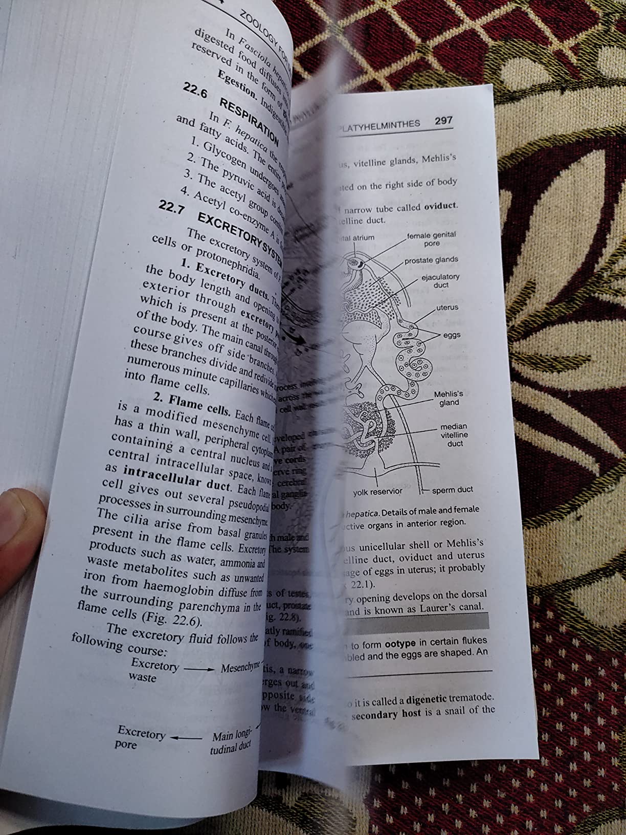 Buy Zoology for Degree Students (For B.Sc. Hons. 1st Semester, As per ...