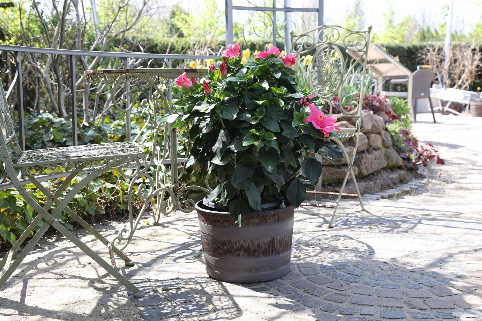 3 Vasi ninfea Giardino Mini Stagno in plastica Effetto Legno | Mezzo barile Rovere | Ø36cm
