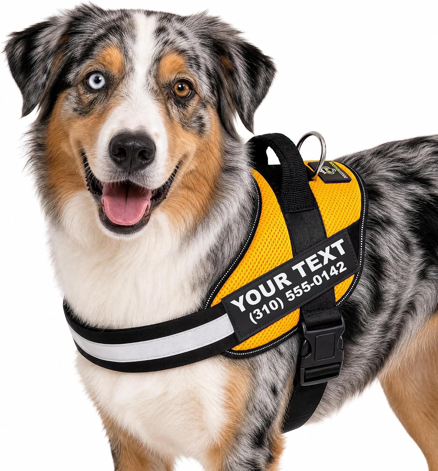 DOGGYKINGDOM Personalized Mesh Australian Dog Harness for Large Dogs, L