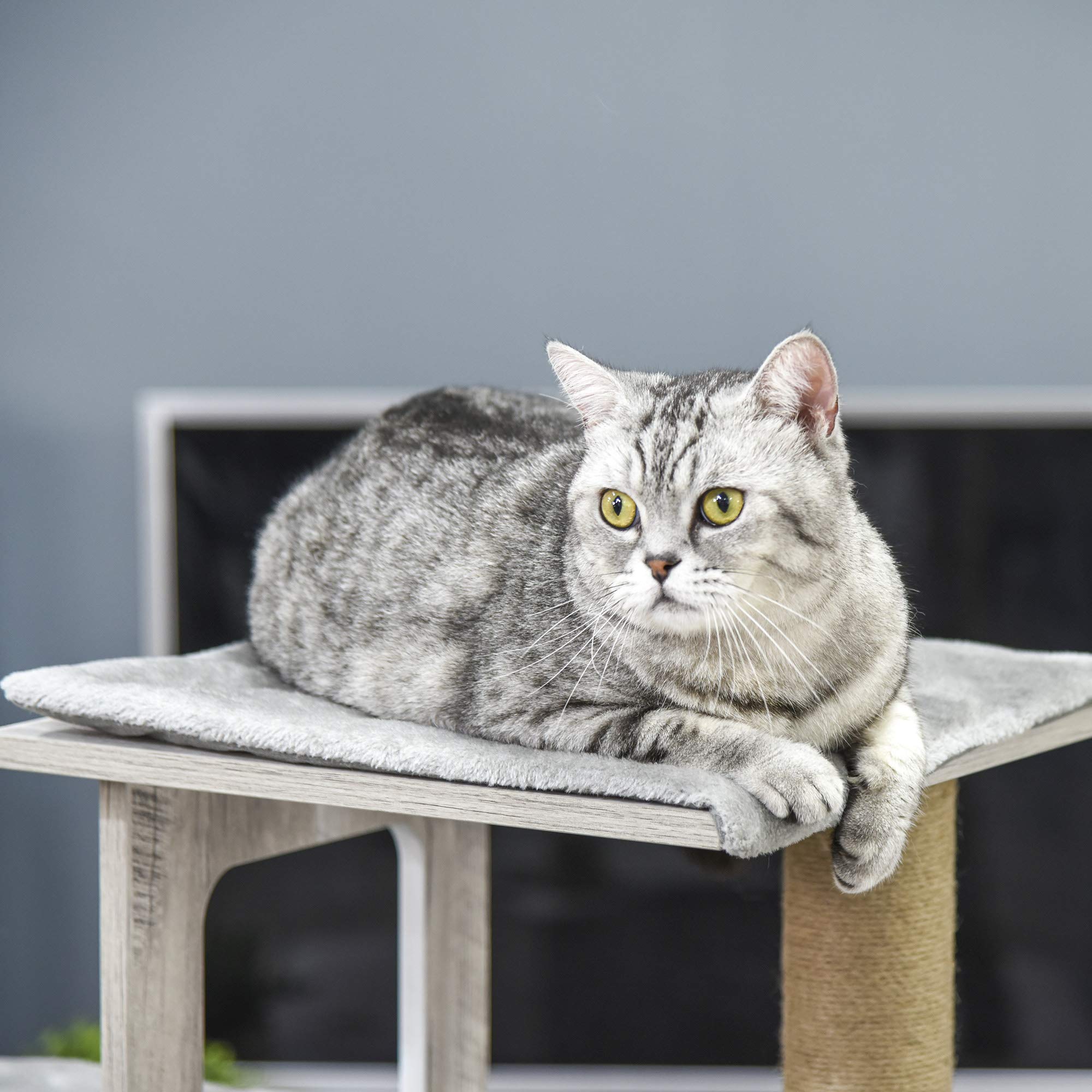 PawHut Albero Tiragraffi per Gatti Multi-livello con Cuccia e Corde in Iuta, 67x38.5x114 cm, Grigio