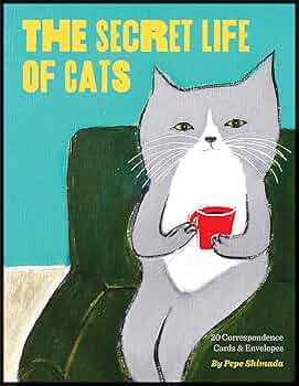 81xEEvDp0FL._AC_UF350,