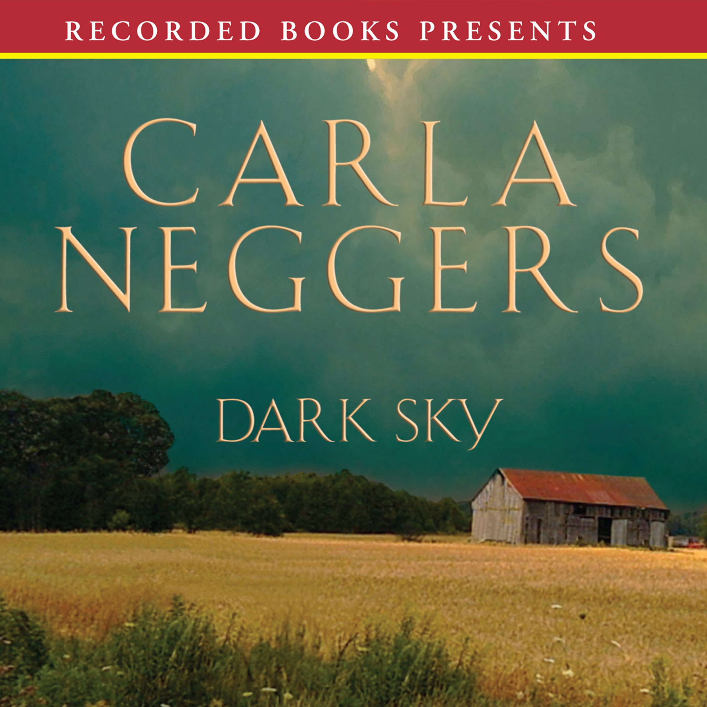 Cover art for Dark Sky