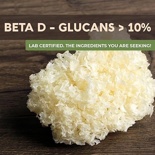 Miniatura 3 de Longevity Botanicals Polvo orgánico de hongos Tremella - Suplemento de hongo Tremella ultra concentrado - Promueve una piel y memoria saludables -