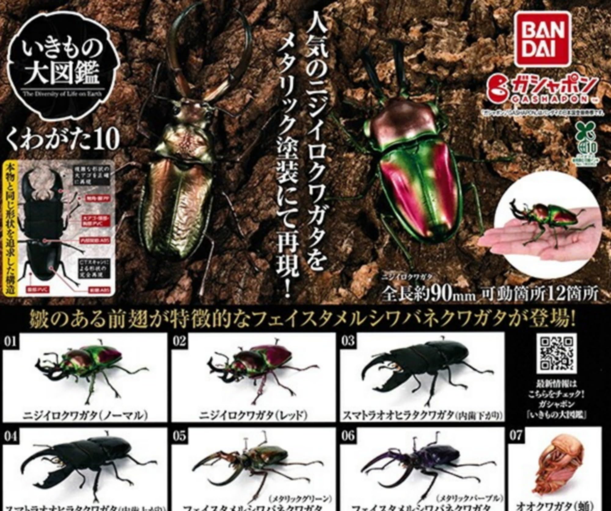 Amazon | BANDAI いきもの大図鑑 くわがた10 × 全7種セット フルコンプ