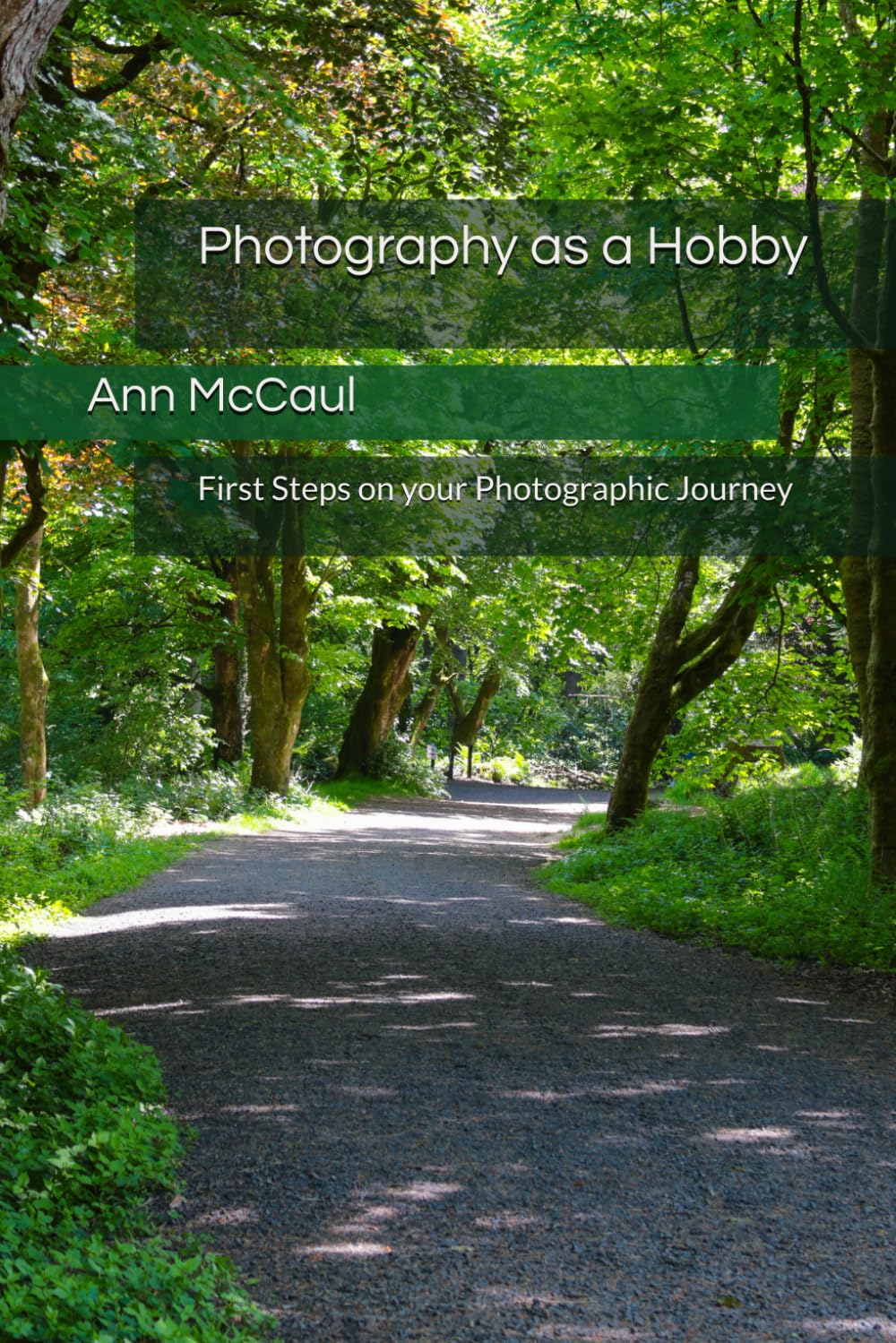 Photography as a Hobby: First Steps on your Photographic Journey