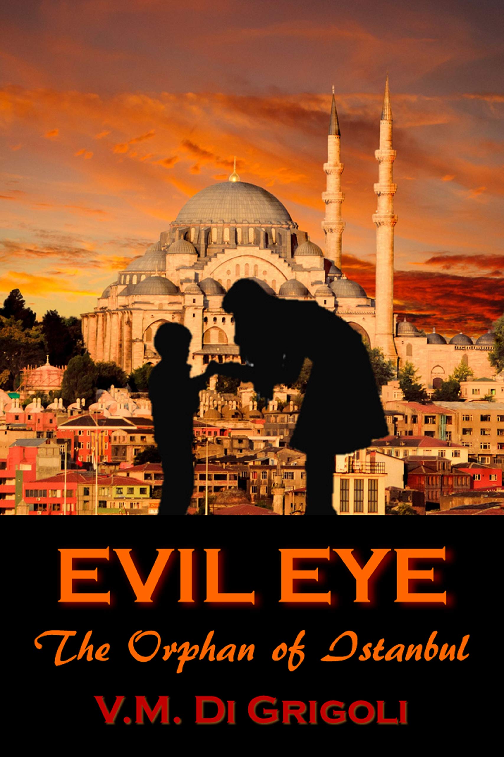 Evil Eye: A working holiday in hypnotic Istanbul turns into a frantic search to save a boy's life in a page-turning mystery