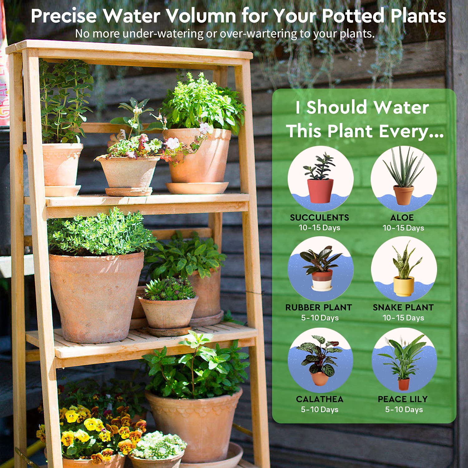 Guide for watering frequency for different plant types