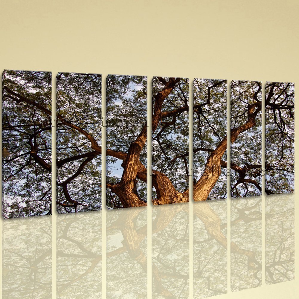 Extra Large Spreading Tree Floral Contemporary Wall Art HD