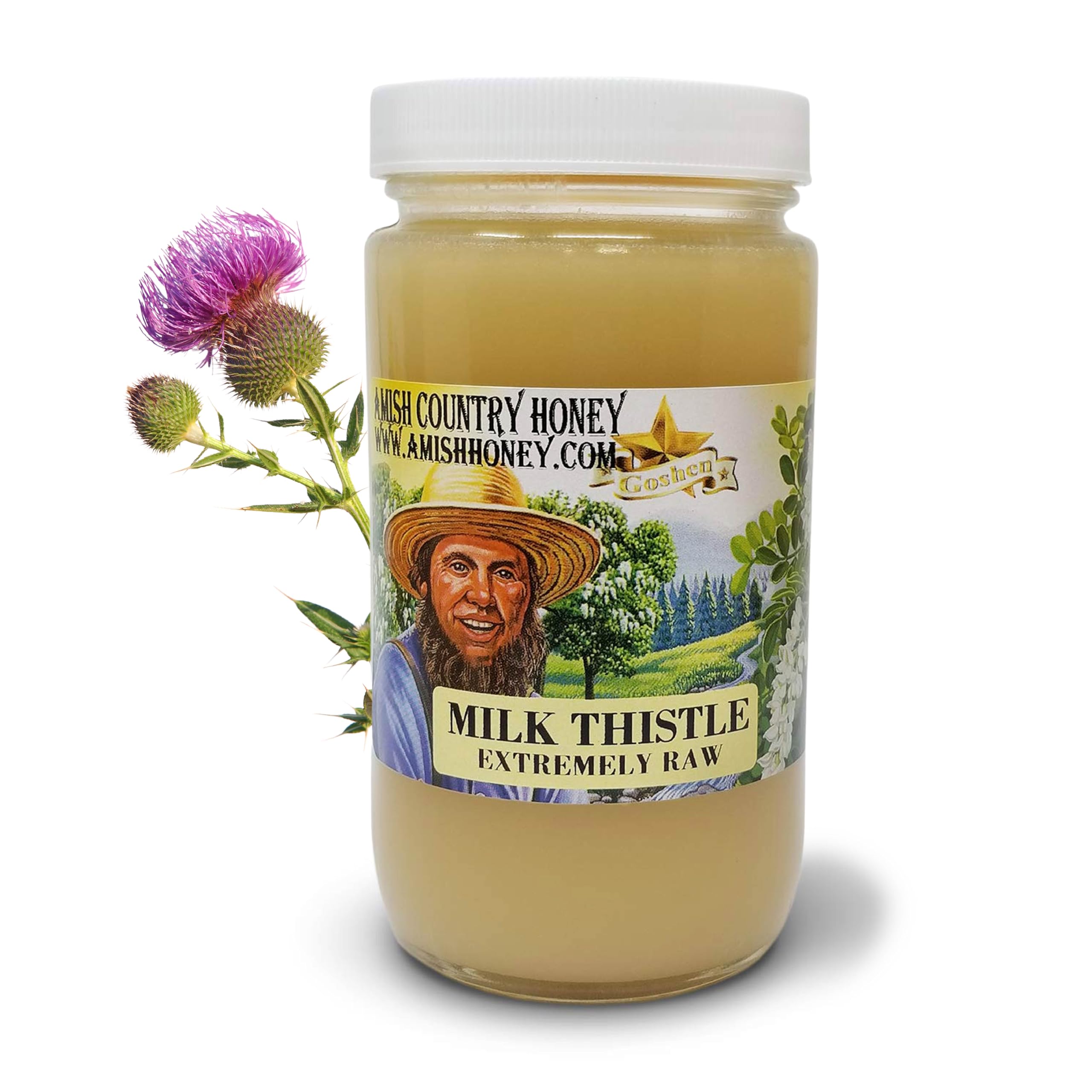 Goshen Amish Country Extremely Raw Milk Thistle Honey - Unfiltered, Unprocessed, Pure & Natural - Harvested in the USA - Rich Flavor for Tea, Cooking, Wellbeing - Kosher Certified - 16oz Glass Jar