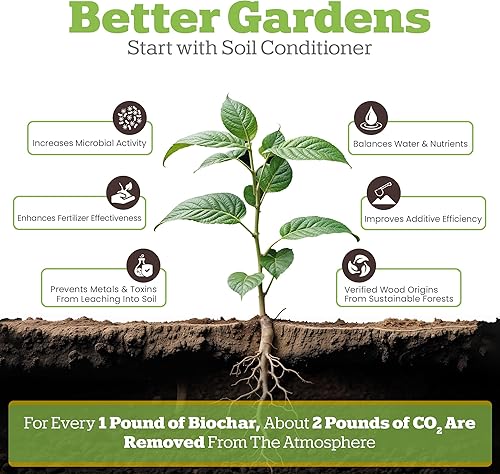 Miniatura 2 de Wakefield BioChar  Acondicionador de suelo prémium carbón activado para plantas carbón hortícola  Bio carruaje orgánico para jardines elevados y