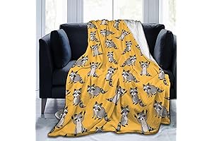 Raccoon Throw Blanket: The Snuggly Haven for Raccoon Enthusiasts