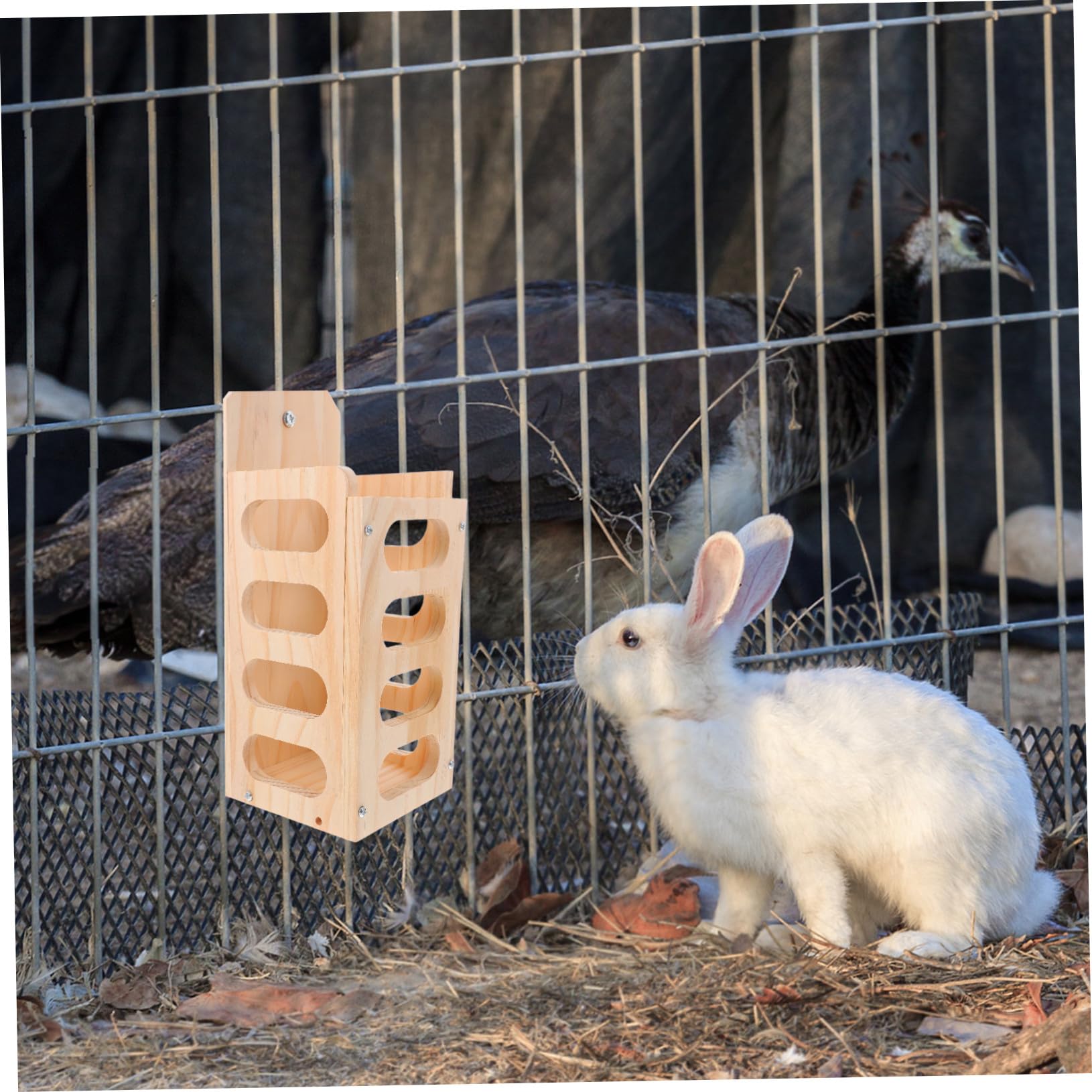 Râtelier à Foin Bois pour Petits Animaux avec Design Ouvert Anti-gaspillage Installation Facile Adapté Aux Lapins et Cochons Distributeur de Foin pour Cage Intérieure