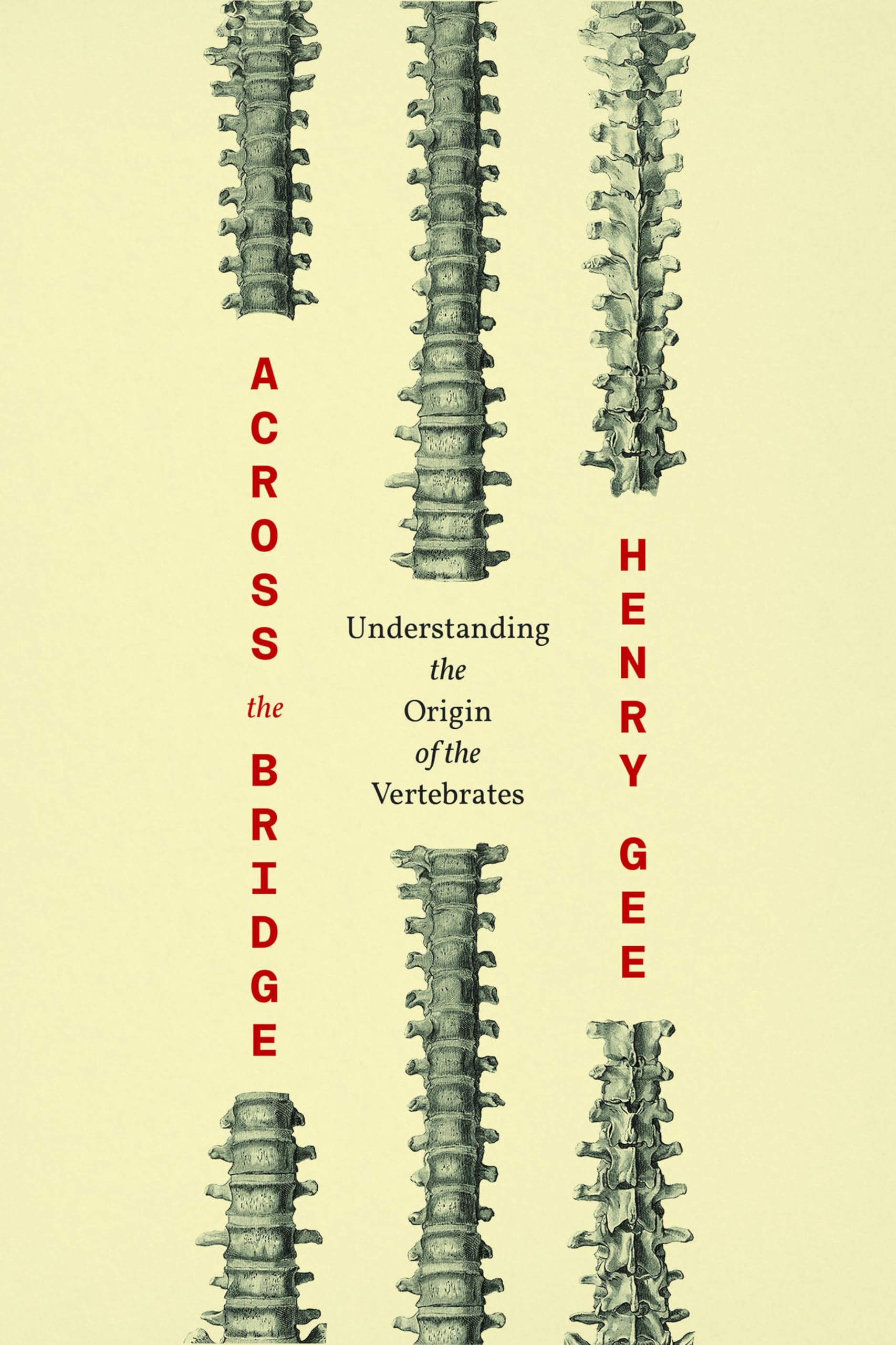 Kindle eBooks in English