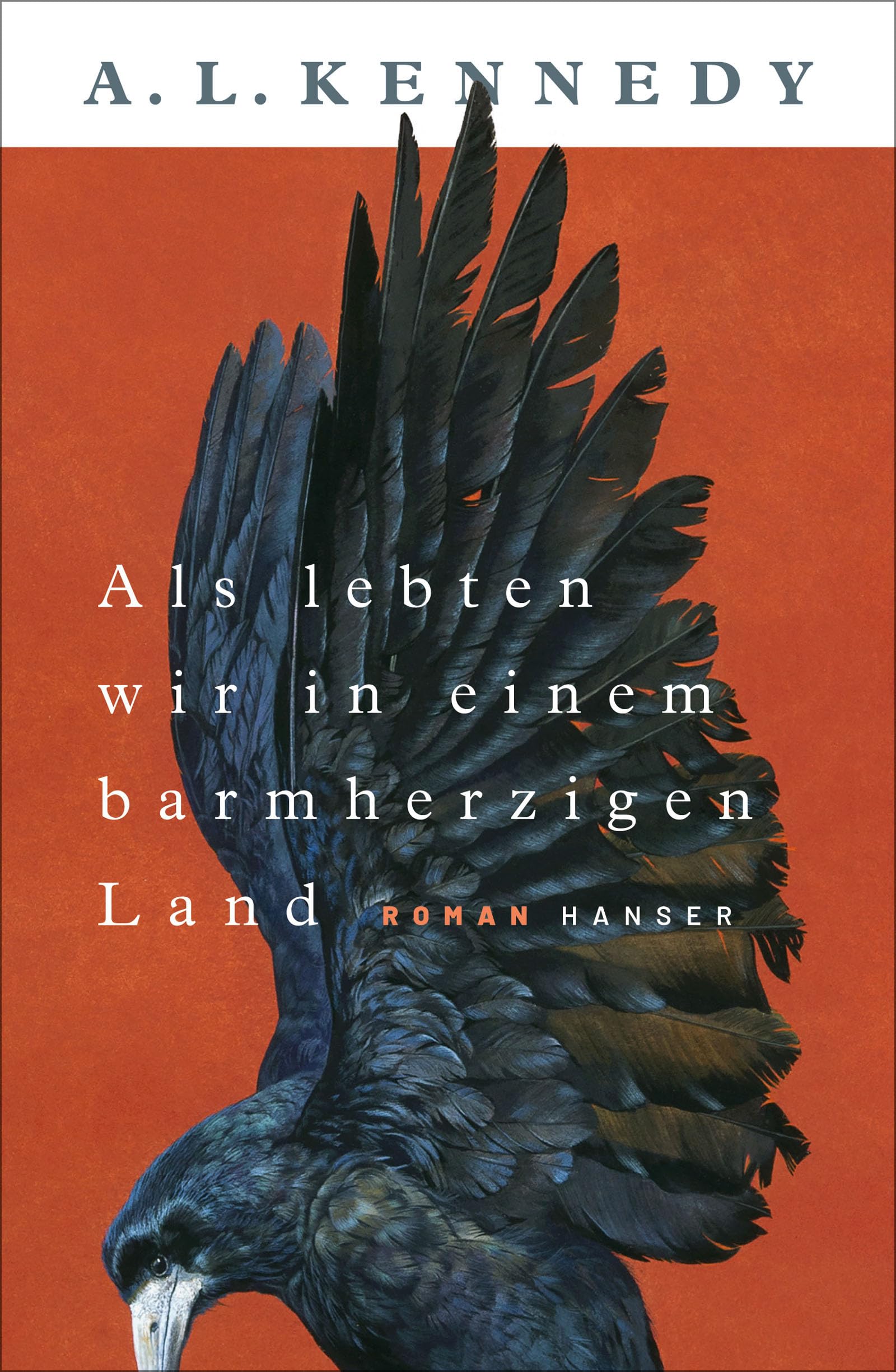 Als lebten wir in einem barmherzigen Land: Roman