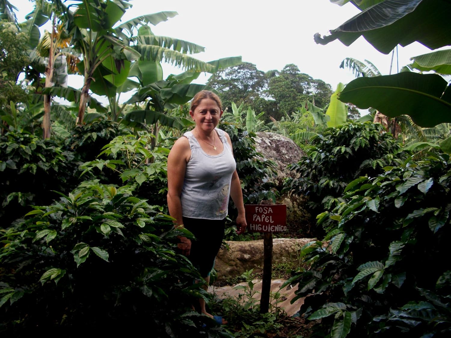 GREEN MAYA Saint Peters Association Arabica Coffee Beans 100% Certified Organic Colombia Single Origin Coffee Espresso