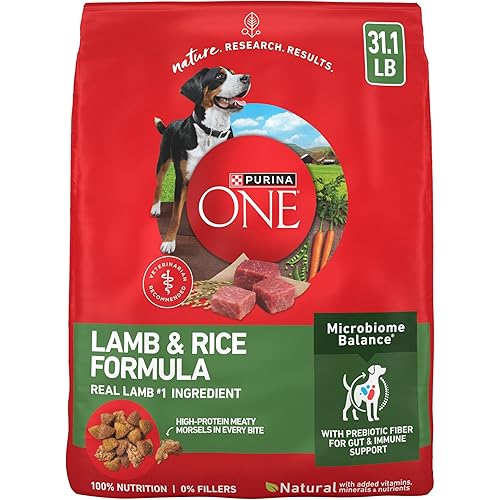 Purina ONE Dry Dog Food Lamb and Rice Formula - 31.1 lb. Bag