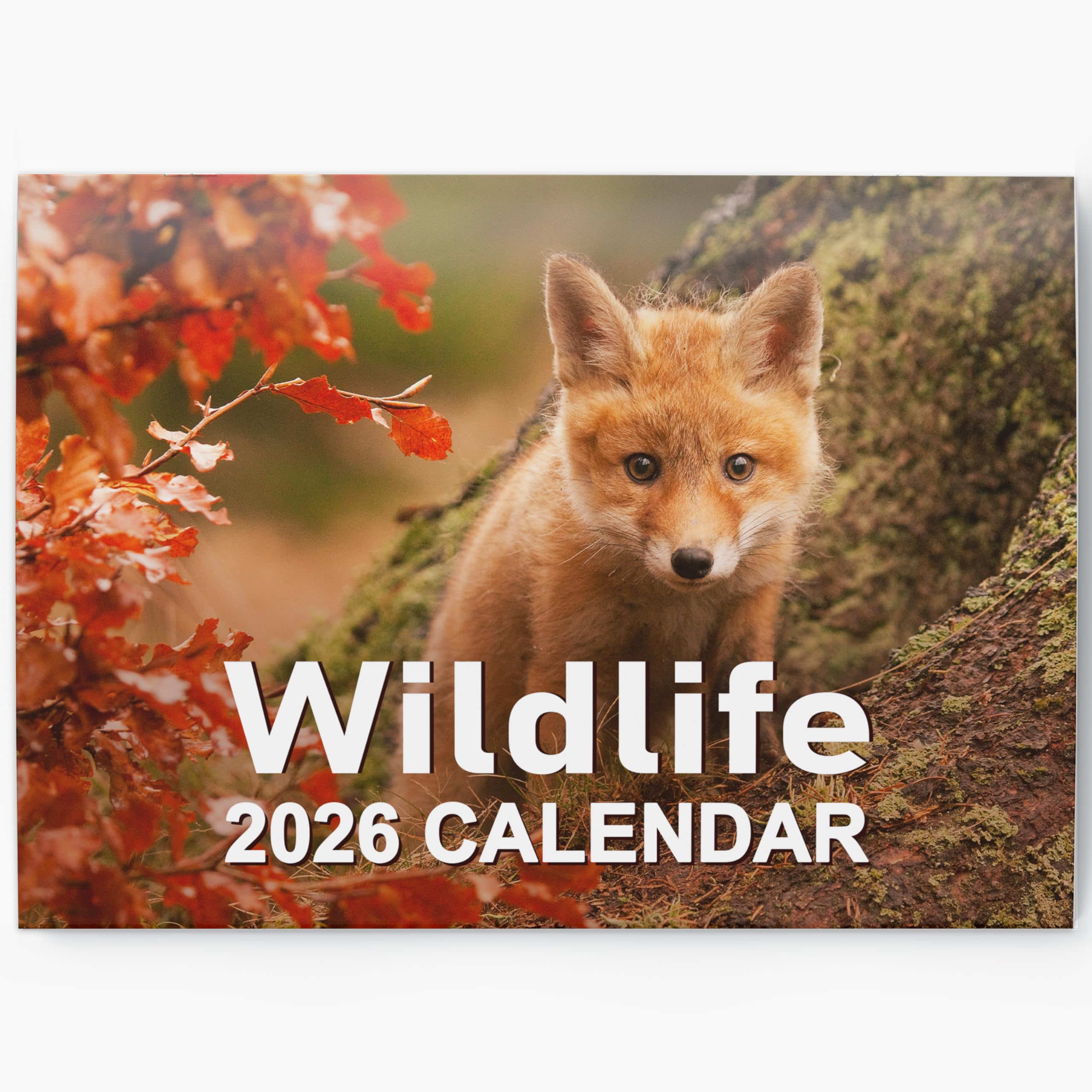 2026 British Wildlife Wall Calendar - UK Nature Photography, Foxes, Deer, Owls - Month to View Planner, A3 When Open - Premium 170gsm Silk Paper