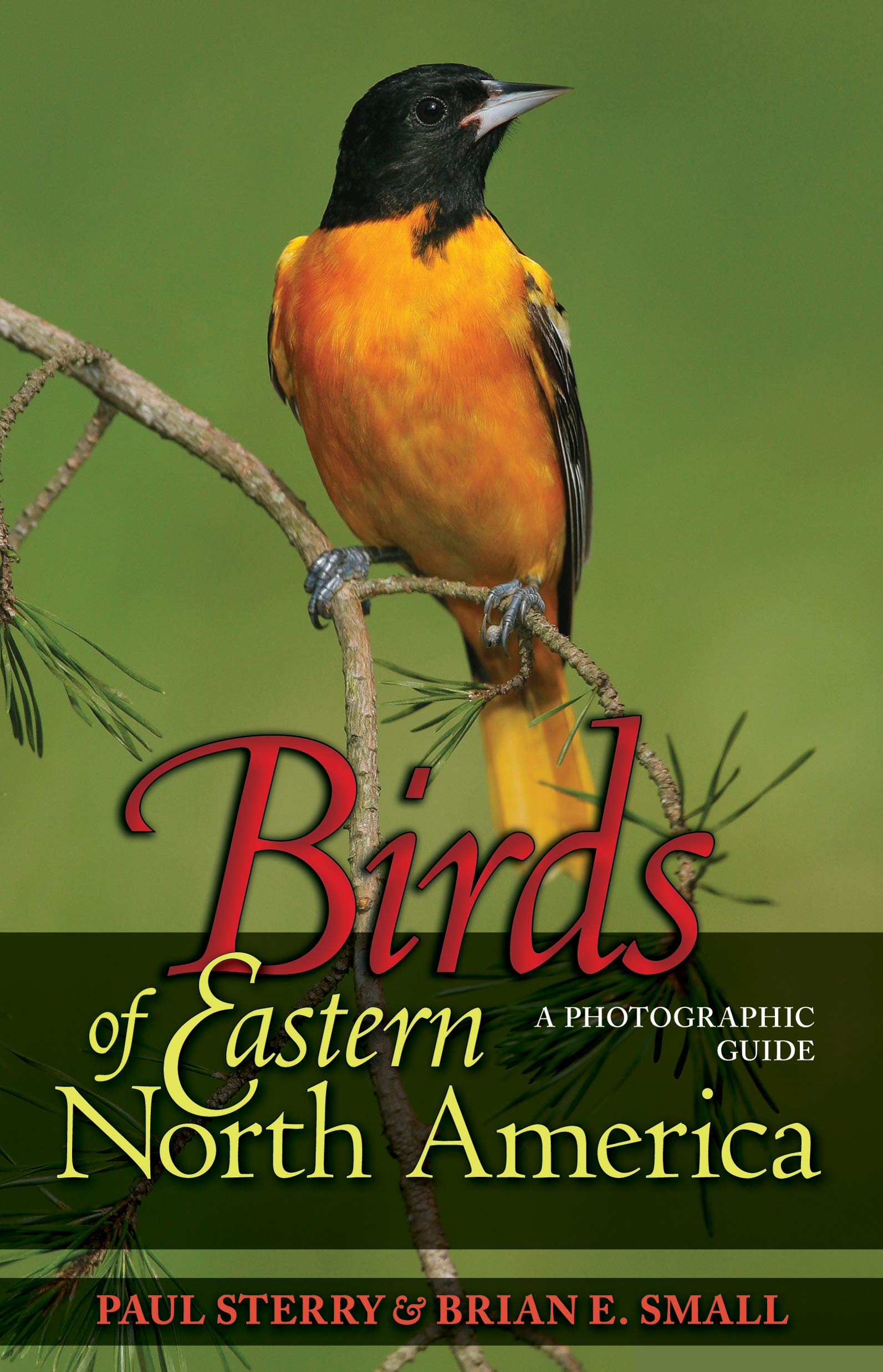 Birds of Eastern North America – A Photographic Guide (Princeton Field Guides, 55)