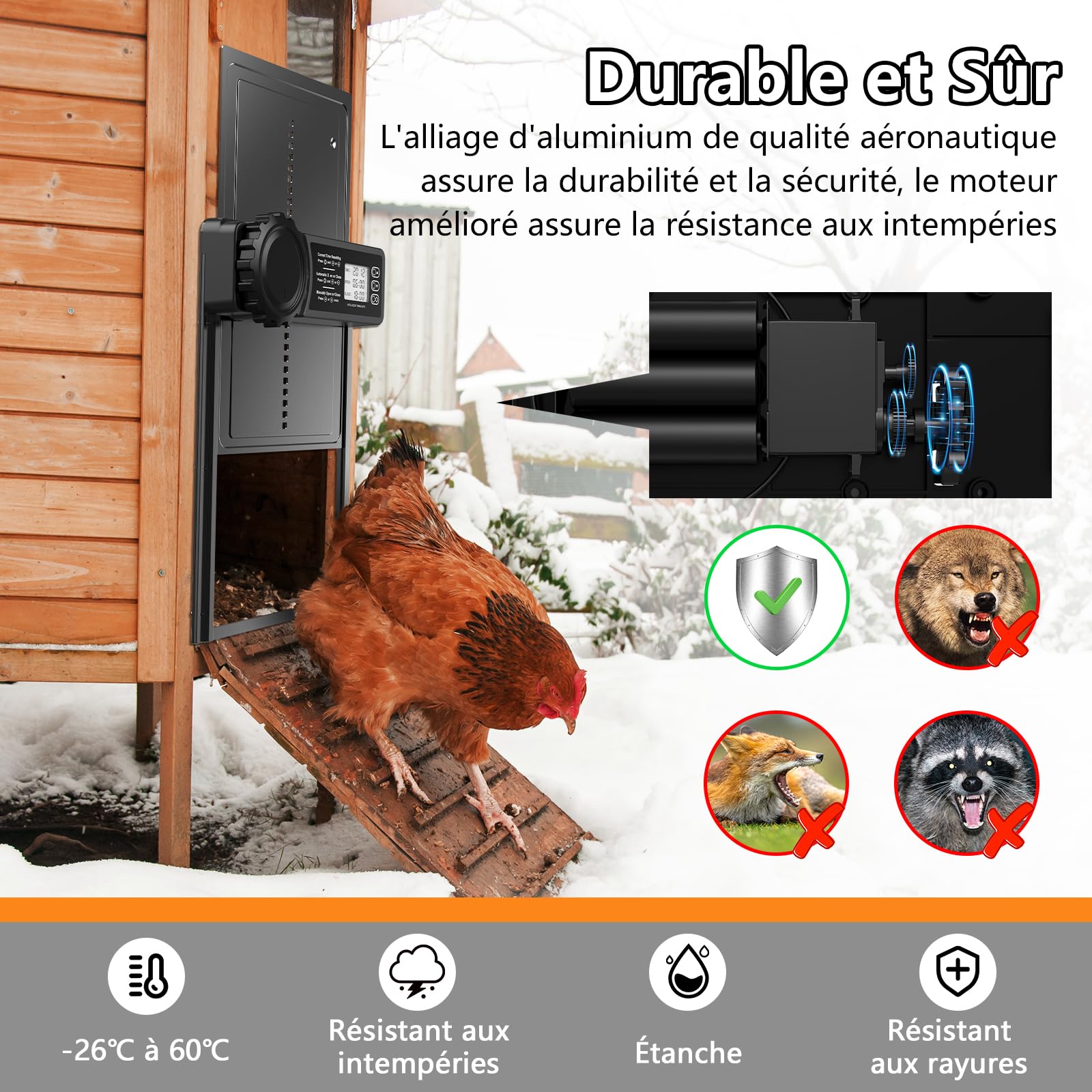 CHAMUTY Porte Poulailler Automatique Batterie avec Écran LCD Programmable Étanche, Porte Automatique Poulailler en Aluminium avec Minuterie, Fonction Anti-pincement, Ouvre-Porte Vertical, Noir