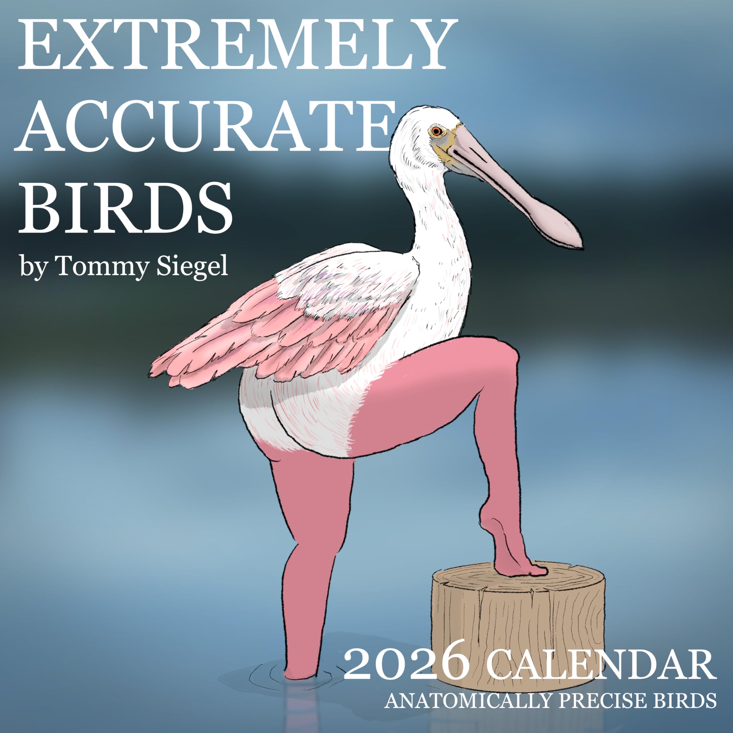 2026 鳥のカレンダー  Siegel Amazon.com: 2026 Calendar of Extremely Accurate Birds by Tommy Siegel