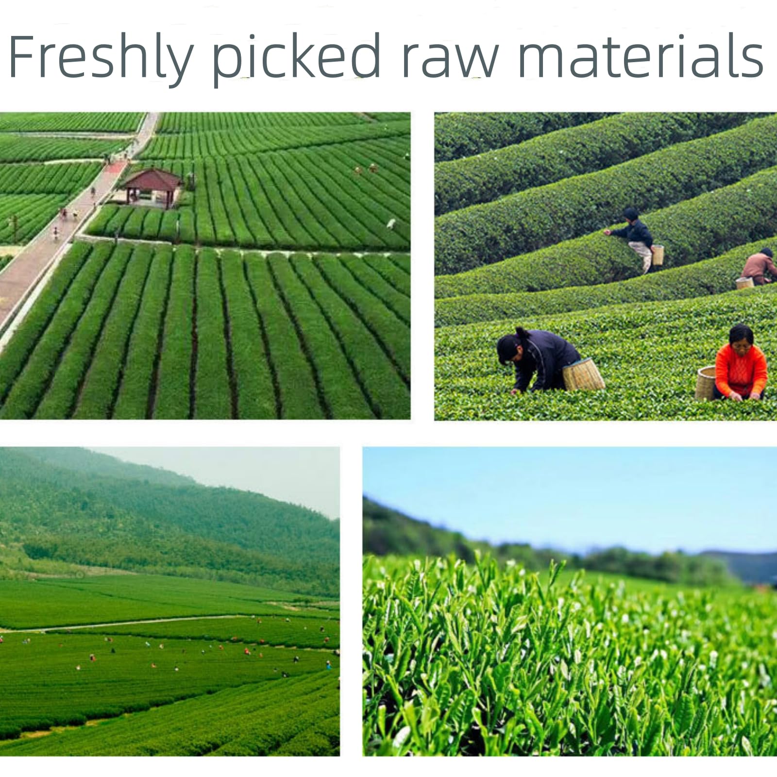 Ceremonial Grade Matcha Green Tea Powder - Traditional Authentic Japanese Culinary Grade Matcha No Sugar Stone Milled Green — view 5