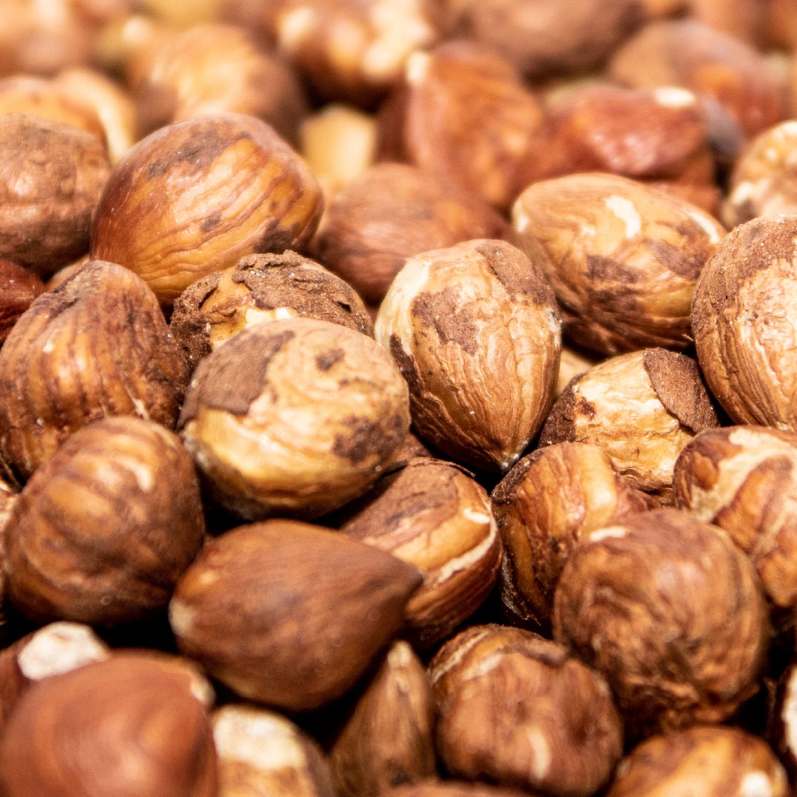 Paul's Mühle Haselnusskerne mit Haut Premium Speisequalität, 10kg