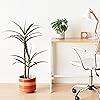 Product Photo 5