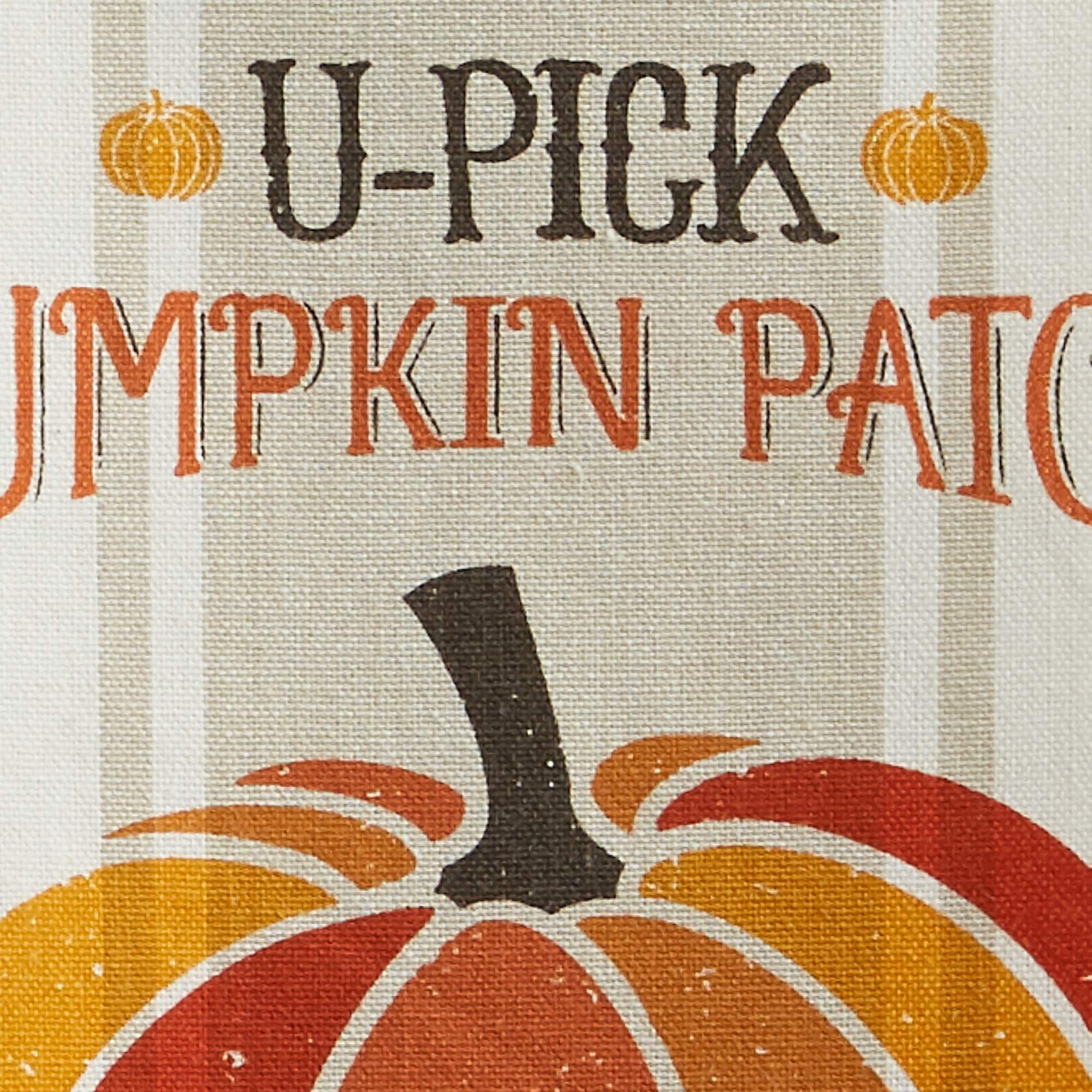 DII Fall Dishtowel Set, Cotton, Pumpkin Farm, Set of 2 - Image 3