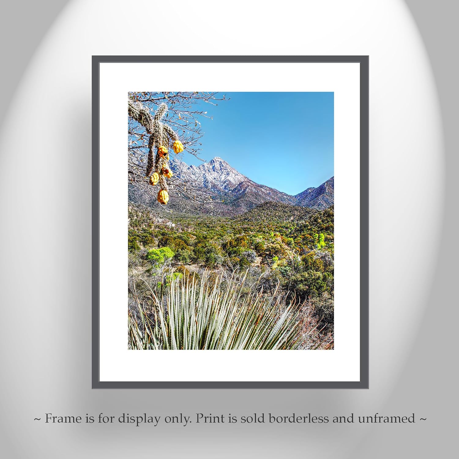 Madera Canyon Landscape Photograph with Arizona Sky Island Mountains