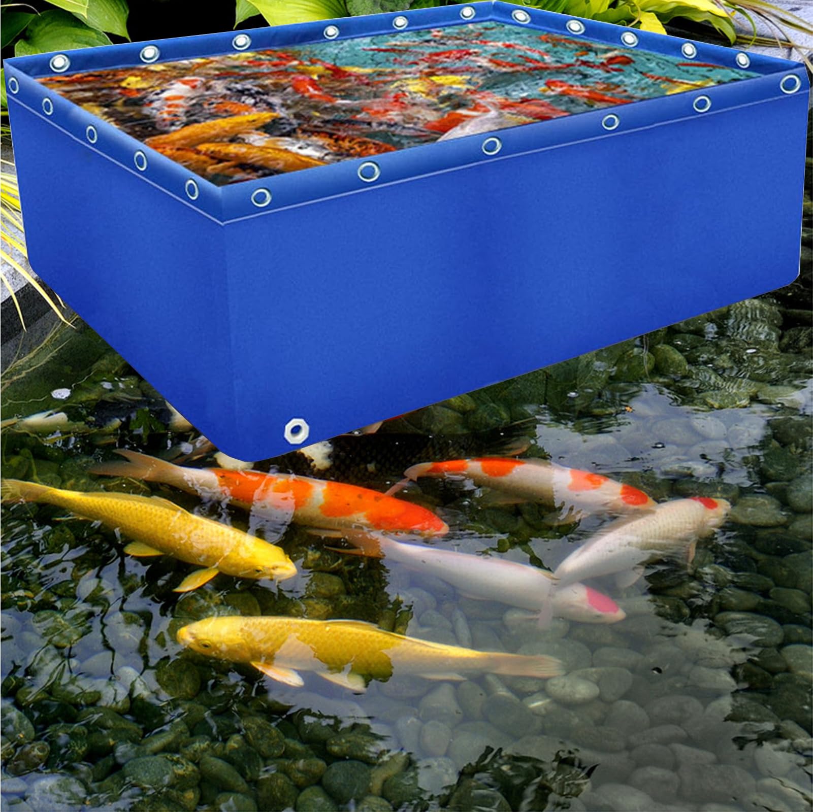 Tanque de lona plegable de 3x3 m, la solución ideal para criar peces koi
