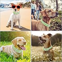 Vista 95 de Wisedog Waterproof Dog Collar: Multiple Adjust 7" to 23.6", Soft Rubber Coated Webbing, Easy to Clean, for Small Medium Large Dogs