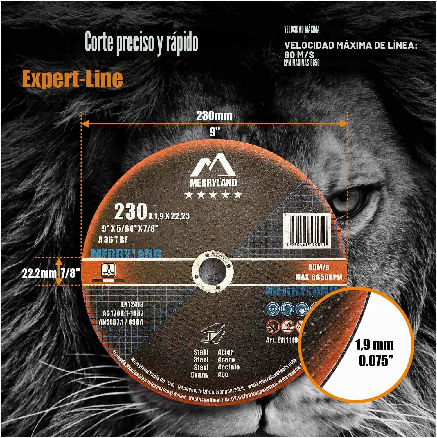 Merryland Disco de Corte 230 Metal para Amoladora Angular, 230 X 1,9 X 22,23 mm Disco Corte 25 Piezas, Acero Hierro, Experto-Line E11111942