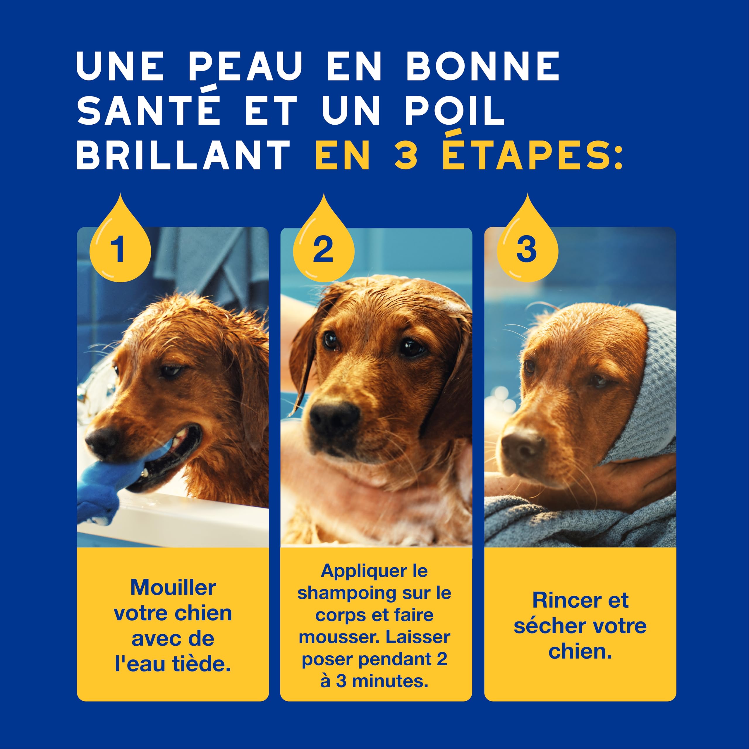 DOUXO Skin & Coat Spa - Ultra-Safe Shampoing hydratant pour Chien, 250mL, Nettoie et Hydrate la Peau Profondeur, Laisse Le Pelage Doux et éclatant, Formule respectueuse de la Peau.